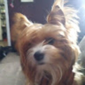 Meet your Posher, Tayshawn